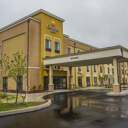 Comfort Inn Pa Turnpike - I-81 Карлайл Экстерьер фото