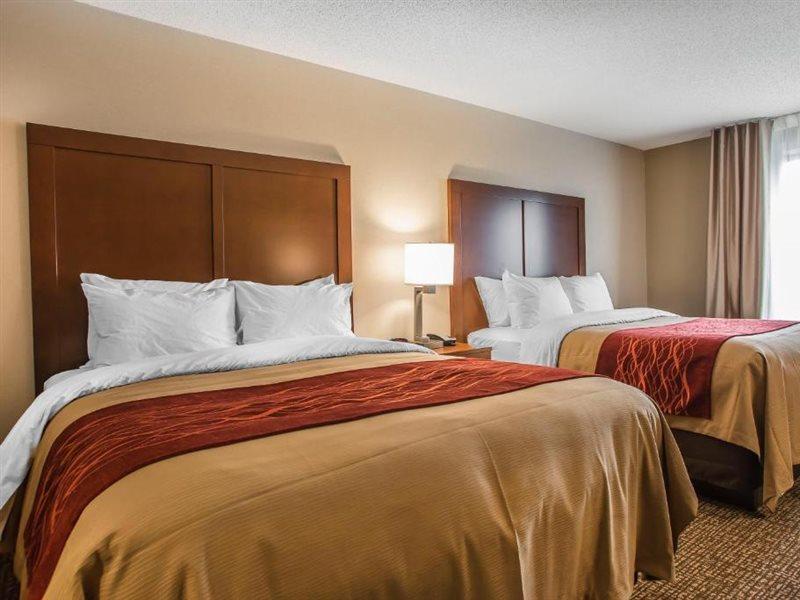 Comfort Inn Pa Turnpike - I-81 Карлайл Экстерьер фото