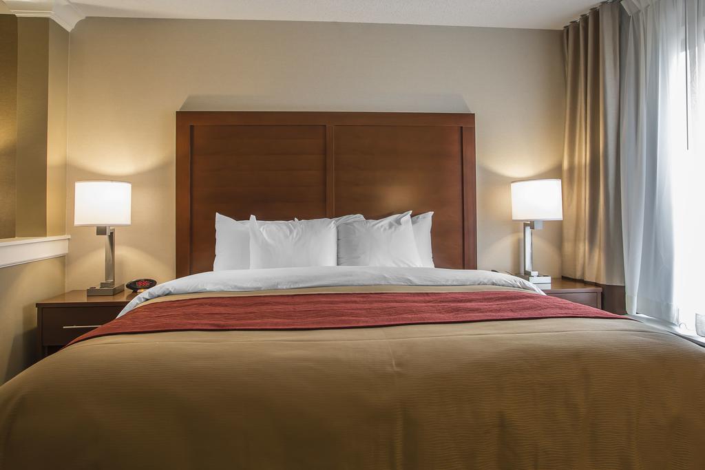 Comfort Inn Pa Turnpike - I-81 Карлайл Экстерьер фото